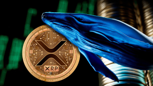 Whopping 515 Million XRP Exchange Hands as XRP Whales' Activity Surges