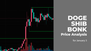 DOGE, SHIB and BONK Price Analysis for January 3