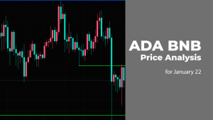 ADA and BNB Price Analysis for January 22