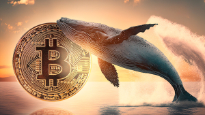 Bitcoin Whales Boost Holdings by $3 Billion