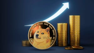 Dogecoin (DOGE) Hits New Transaction Record, but There's Big Catch