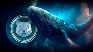 Shiba Inu Skyrockets 514% On-Chain as Whales Shift Trillions of SHIB