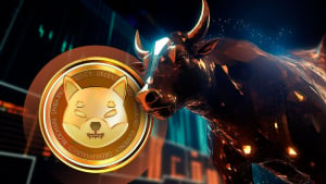 SHIB Bulls Eye Zero Erasure as Crypto Market Soars