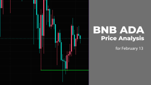 BNB and ADA Price Prediction for February 13