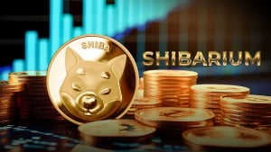 Shiba Inu Blockchain Mystery Deepens as Shibarium Anomaly Continues With 41% Spike