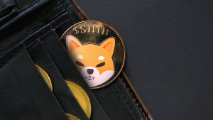 Billions of Shiba Inu (SHIB) Disappear in Unknown Wallet