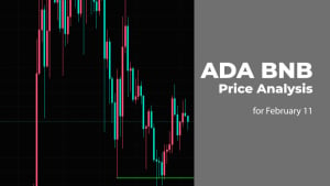 ADA and BNB Price Prediction for February 11