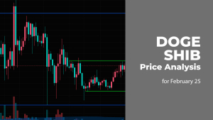 DOGE and SHIB Price Prediction for February 25