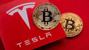 Elon Musk's Tesla and SpaceX Bitcoin Holdings Uncovered: Data