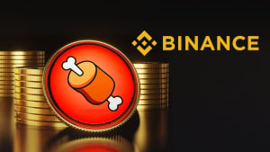 Shiba Inu Token BONE Races Toward Binance Listing