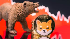 Shiba Inu (SHIB) Bears in Action as Price Slips 19%