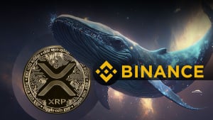 Mysterious XRP Whale Who Keeps Withdrawing Millions From Binance Revealed