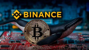 Mysterious Bitcoin Move to Binance Makes BTC Price Plummet Again: Details