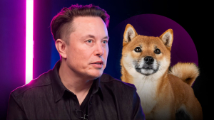 Elon Musk Excites Crypto Community With His New Doge Tweet