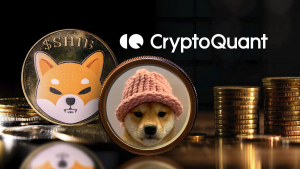 'Meme Coins Harm Crypto Industry,' Says CryptoQuant CEO Amid SHIB and WIF Hype