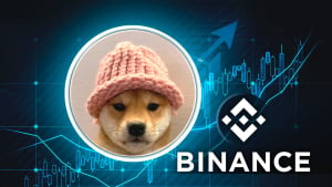 Dogwifhat (WIF) Price Skyrockets 27% as Binance Finally Spot Lists Solana Meme Coin