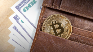 100% of Bitcoin Wallets Currently in Profit: Details