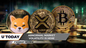 Will Bitcoin (BTC) Reach ATH Again? XRP's Gains Nullified, Shiba Inu's (SHIB) 40% Drop Raises Questions 