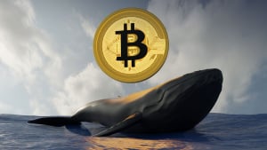 Bitcoin Whale Buys $40 Million Worth of BTC at the Bottom  