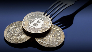 Biggest Bitcoin Fork Completes Halving