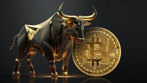 Bitcoin (BTC) Bull Market Depends on This Major Factor: Details