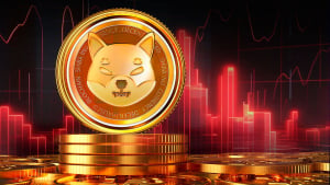 Shiba Inu (SHIB) Correction Starts Again: What's Next?