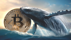 Bitcoin (BTC) Whales' Holdings Skyrocket by 6,900% Amid Price Dip