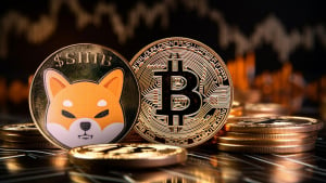 Shiba Inu Insider Issues Wake-up Call on SHIB, BTC