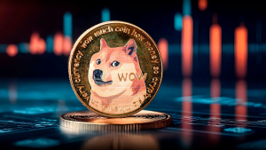 Satoshi's Privacy Legacy Reverberates Through Dogecoin; What Happened