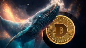 27.78 Billion Dogecoin (DOGE) in 24 Hours Stacked by Whales, What's Happening?