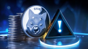 Shiba Inu Insider Shares Crucial Reminder With SHIB Community