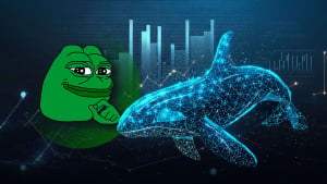 Major Pepe Whale Capitulates 