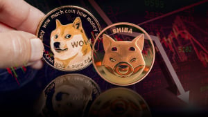 Shiba Inu (SHIB) and Dogecoin (DOGE) Among Top Crypto Laggards as Market Sees Severe Downturn 