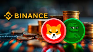 Billions of SHIB and PEPE Exit Binance in $166 Million Crypto Bloodbath