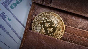 Bitcoin: 10,000 BTC Wallets Pack 212,450 BTC to Scale 6 Year High