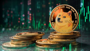 DOGE Founder Discusses Potential $5 Million Opportunity