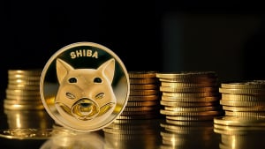 Shiba Inu (SHIB) Massive $0.000017 Comeback Vital: Details