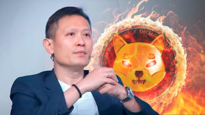 Binance CEO Faces SHIB Army's Pleading to Start Burning SHIB, Here's Why