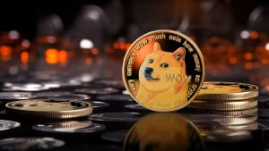 'There Will Always Be a Crash': Dogecoin Creator Breaks Silence on Market Bubble