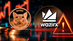 Shiba Inu (SHIB) Price Takes Painful Dip Amid Major India Crypto Hack