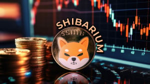 75% Drop in Key Metric Shocks Shiba Inu's Shibarium