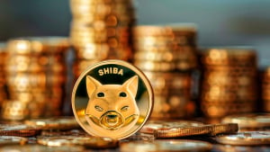 SHIB Team Says: Altcoin Season Coming