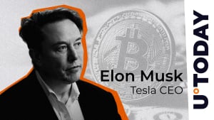 Elon Musk Responds to Bitcoin El Salvador President Nayib Bukele's Vital Question