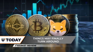 Enormous Shiba Inu (SHIB) Comeback, Bitcoin (BTC) at $58,000, but Don't Celebrate Too Early, Ethereum Below $3,000 Again