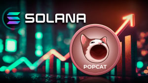 Solana Cat Meme Coin Surges 117%, but There Is Something You Need to Know