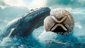 140 million XRP acquired by mega whales in bull market: Details