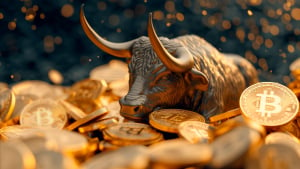 Bitcoin Enjoying Strongest Bullish Sentiment in 16 Months