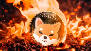 Major SHIB Metric Soars 7,334% As Team Announces Crucial Update Coming This Week