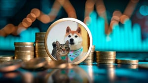 Cat of DOGE's Owner Skyrockets to $70 Million as Meme Coin