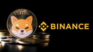 Binance's Shiba Inu (SHIB) Balances Continue to Drop